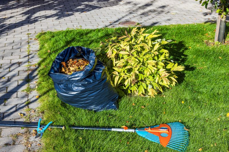 Trimming bushes for winter