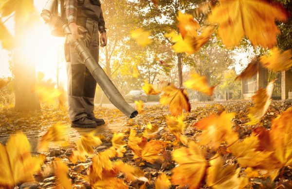 Leaf Blowing Service in College Station