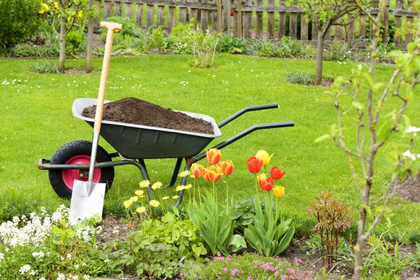 Cost of Spring Yard Cleanup in College Station