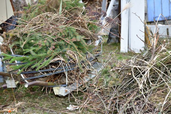 Yard Waste Removal Service in College Station
