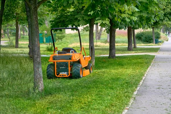 Landscaping Cleanup Service in College Station