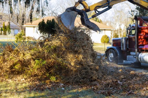 Storm Debris Removal in College Station