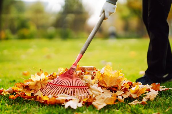 Cost of Ditch Leaf Removal in College Station