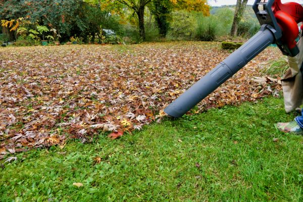 Cost of Leaves Vacuuming in College Station