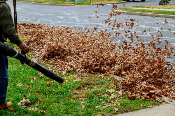 Cost of Garden Leaf Removal in College Station