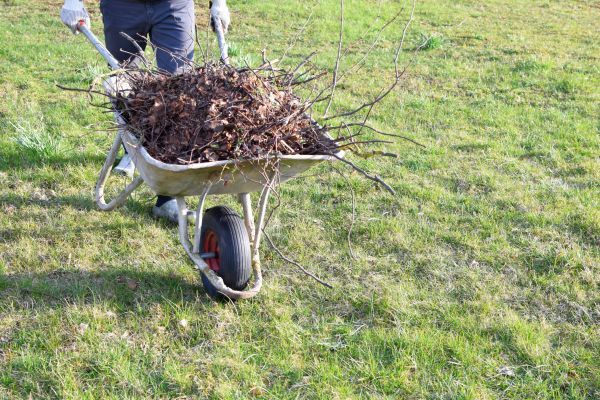 Yard Brush Removal in College Station