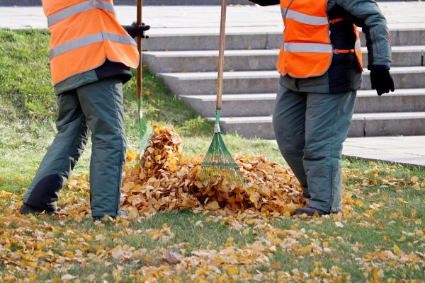 Cost of Leaf Hauling Service in College Station
