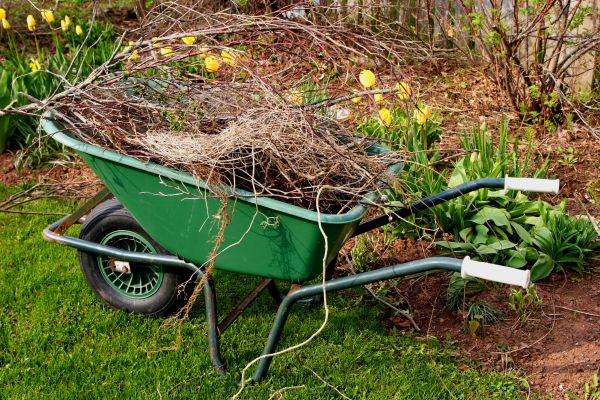 Lawn Waste Removal in College Station