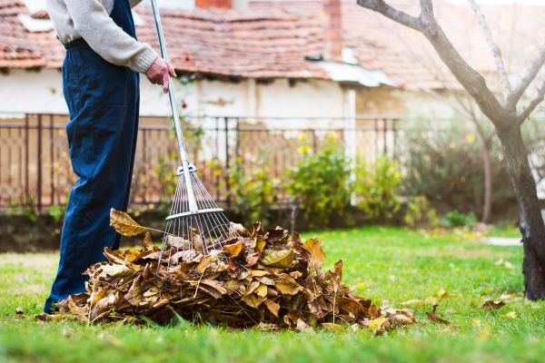 Cost of Fall Yard Cleanup Service in College Station
