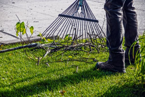 Yard Debris Cleanup in College Station
