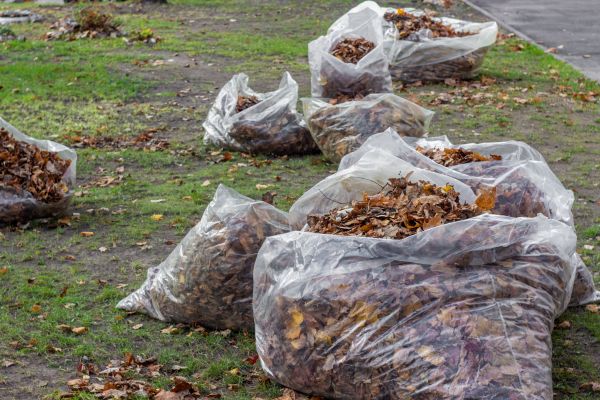 Cost of Leaf Pile Disposal in College Station