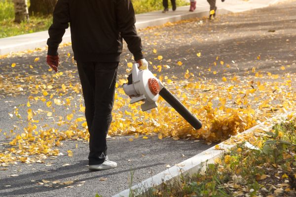 Commercial Leaf Removal in College Station
